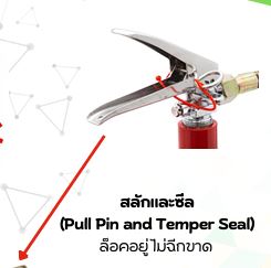 ตัวอย่างสลักและซีล